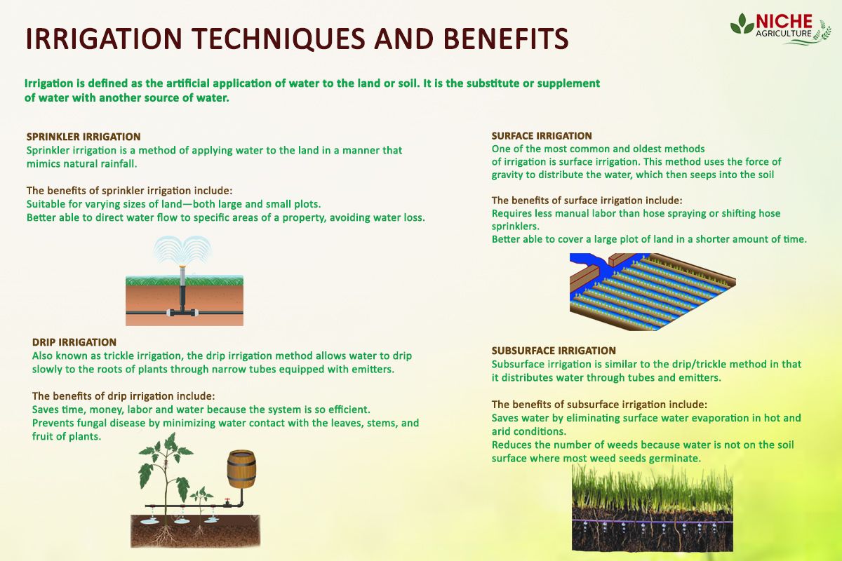 IrrigationTechniques Irrigation Methods Sprinkler Irrigation Irrigation irrigationtechniques-irrigation-methods-sprinkler-irrigation-irrigation
