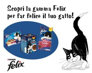 Concorso PetPassion vinci fornitura Felix Concorso PetPassion vinci fornitura Felix