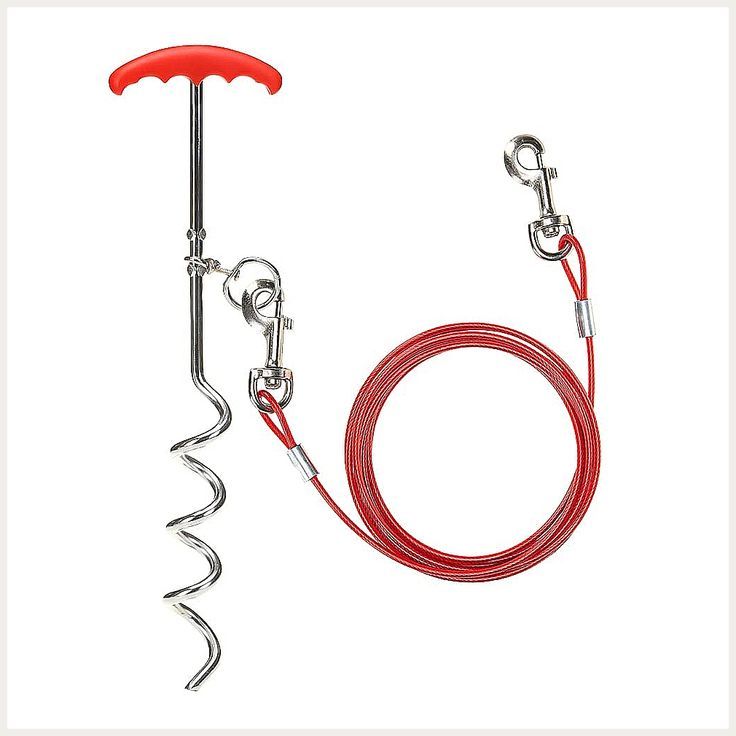 EXPAWLORER Dog Tie Out Cable and Stake 30 ft Outdoor, Yard and Camping, for Small to Medium Dogs Up to 60 lbs, 16" Stake, 30 Camping Park, Dog Camping, Outdoor Camping, Dog Stake, Dog Pen, 125 Lbs, Tie Out, Dog Safety, Medium Dogs
