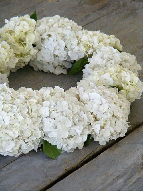 Pin By Button Willow Hollow On My Garden Vanilla Strawberry Hydrangea Flower Beauty White Flowers
