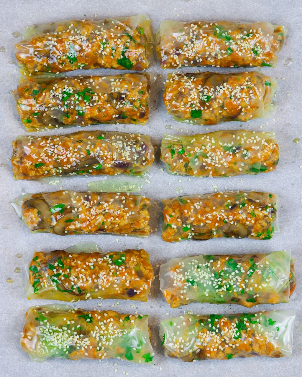  High Protein Crispy Rice Paper Rolls Rice Paper Recipes Rice Paper 