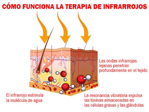 Fam, Lymphatic System, Cell Membrane, Copper, Sugar Cravings, Light Therapy, Sedentary Lifestyle, Liver Detox