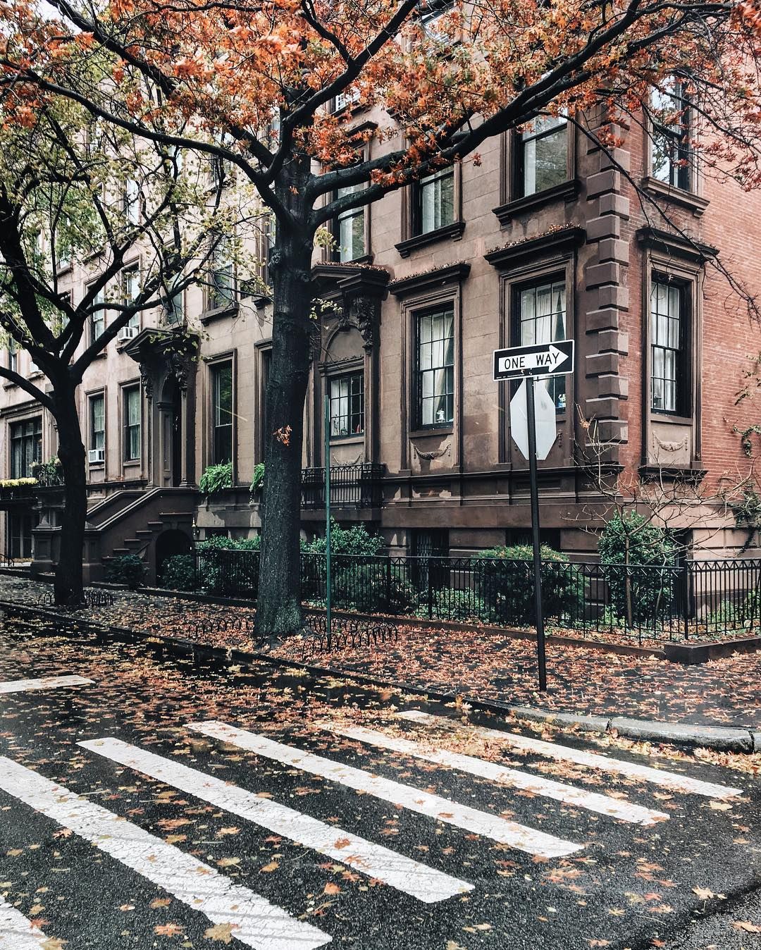 An evening of documentary films at the Brooklyn Historical Society with director Ric Burns will showcase the borough's past and present. #autumnphotography