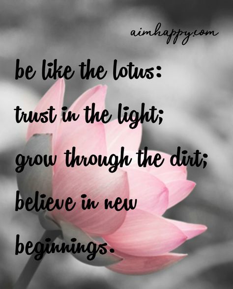 20 lotus flower quotes to inspire growth new beginnings be like the lotus trust in the light