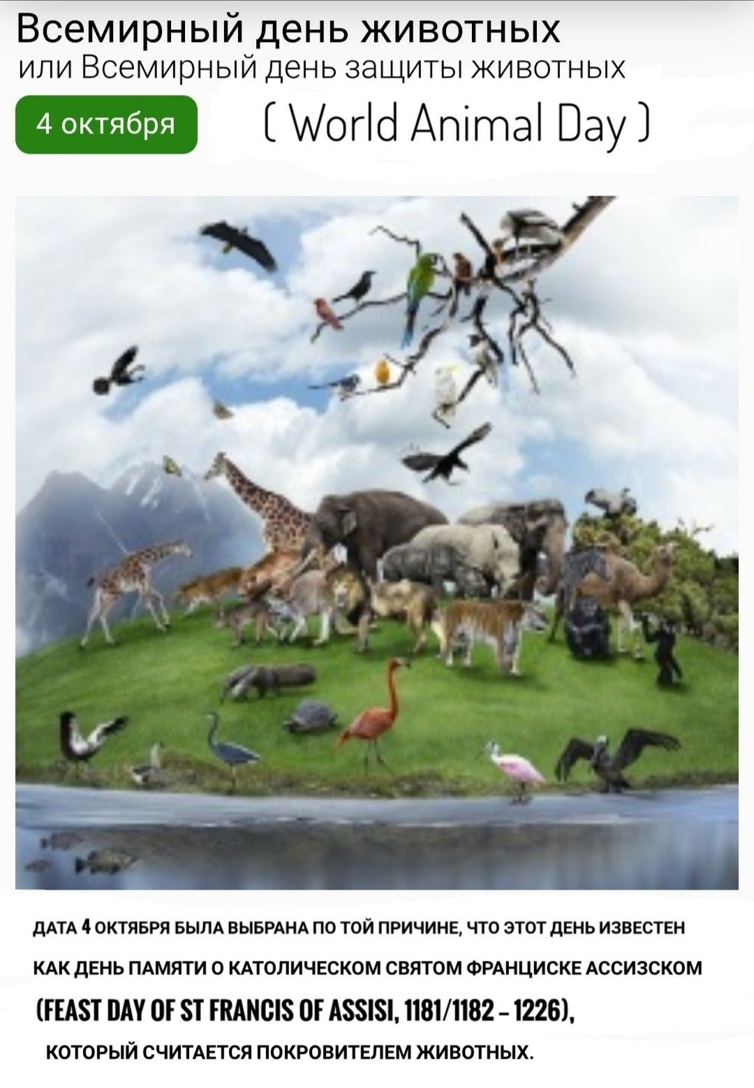 Pin By Irina On Prazdnik Animals Of The World Pet Day St Francis
