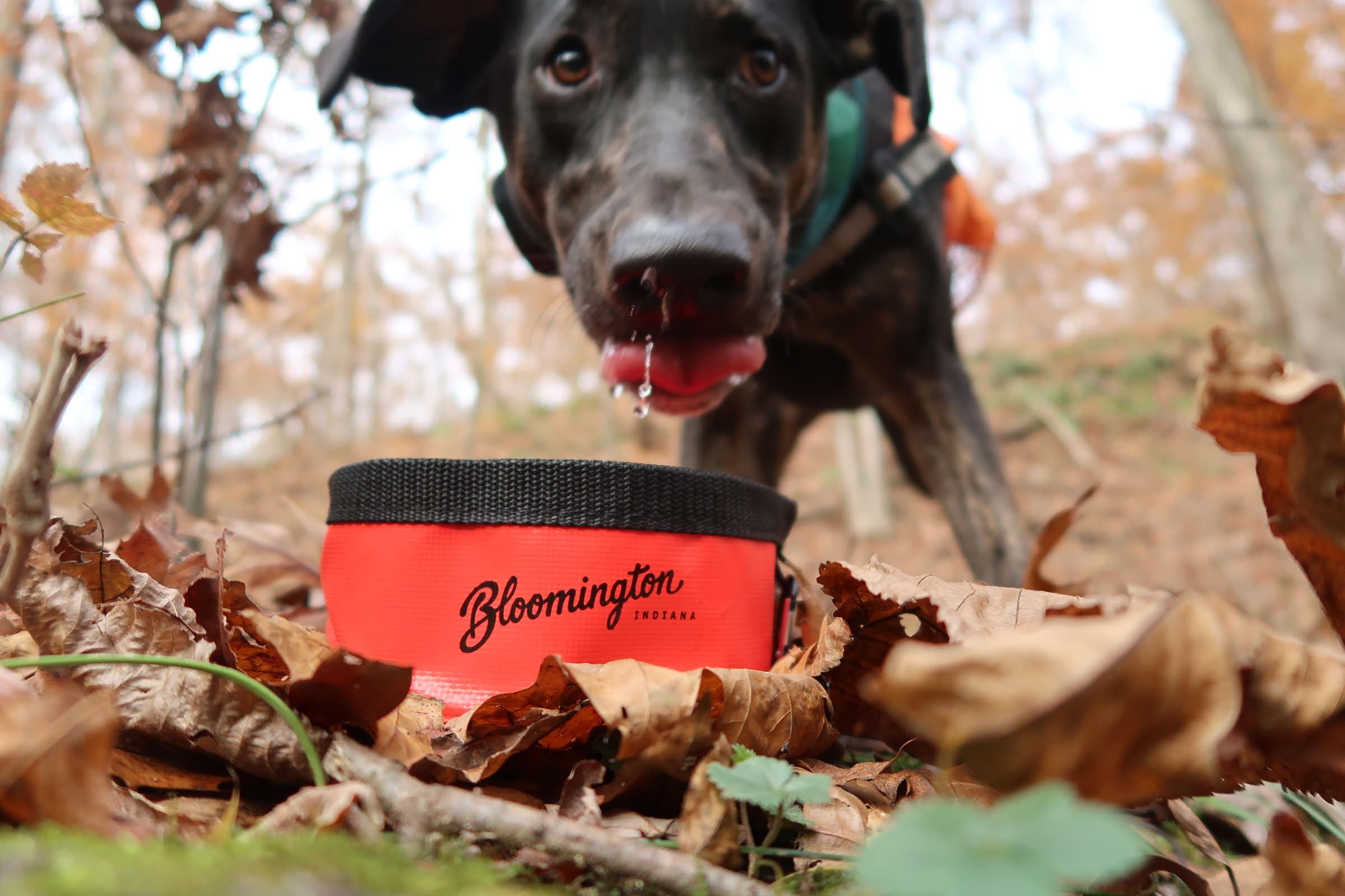 On The Go Pet Bowl Dog Friends Bloomington Dogs