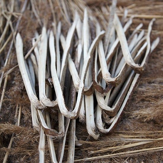 hazel stick to attach thatched roofs hazel stick to attach thatched roofs