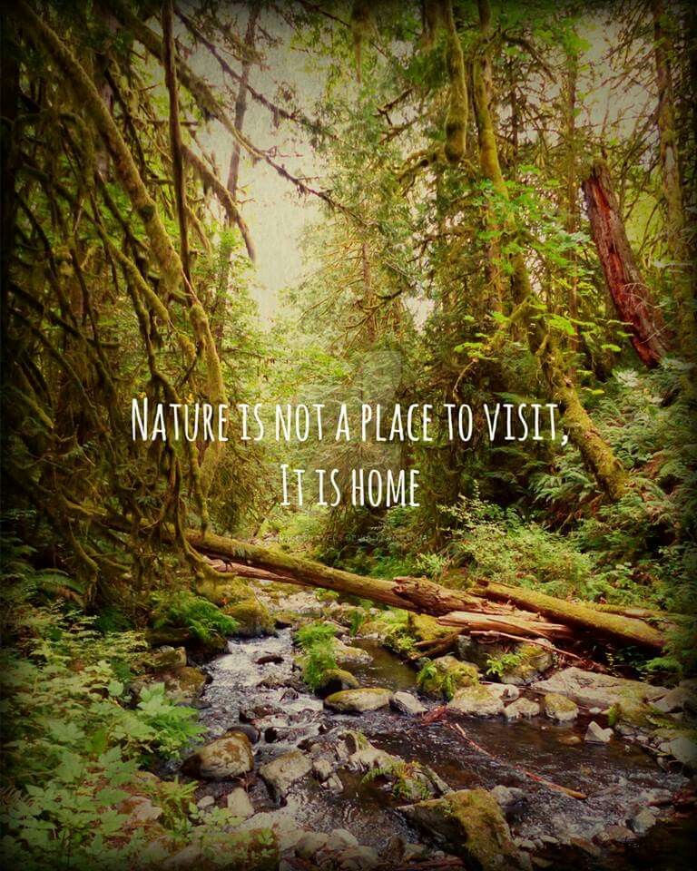 Cree Image Citation Woodland Art Print Wanderlust Art Adventure
