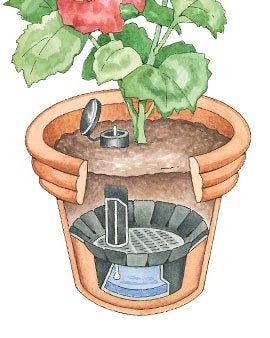 Self-Watering Veggie Table
