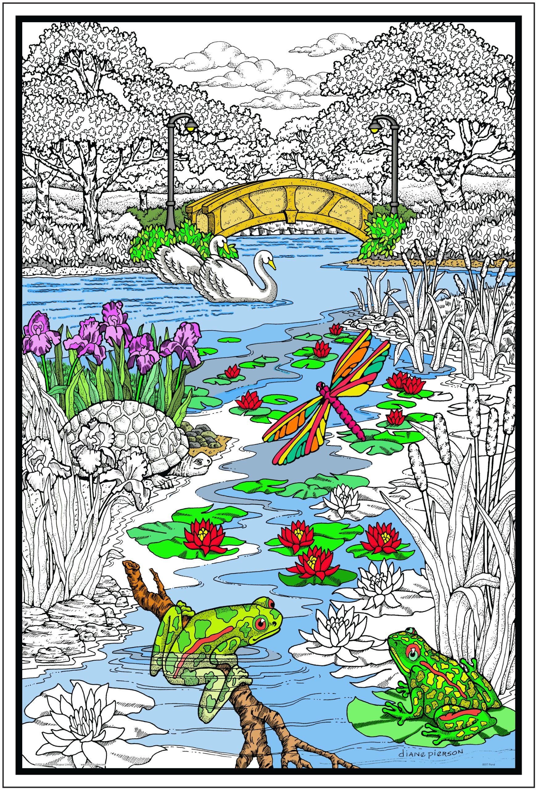 Pond in the Park - Giant 22 X 32.5 Inch Line Art Coloring Poster ... Pond in the Park - Giant 22 X 32.5 Inch Line Art Coloring Poster ...