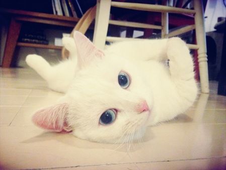 Little Bit 鈴木 えみ オフィシャルブログ 可愛い 鈴木えみ ブログ Little Bit 鈴木 えみ オフィシャルブログ 可愛い 鈴木えみ ブログ