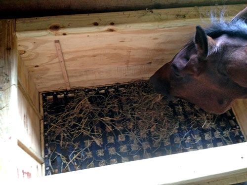 The Nibblenet Slow Feeder Hay Bags Thenibblenet Official The Nibblenet Slow Feeder Hay Bags