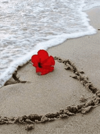 8c896eb599f7dee970519c964aaea61e.gif