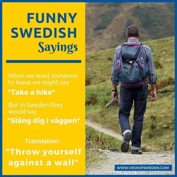 Pin tillagd av Kristy Harvey på Sweden Roots Grammatik, Rolig humor