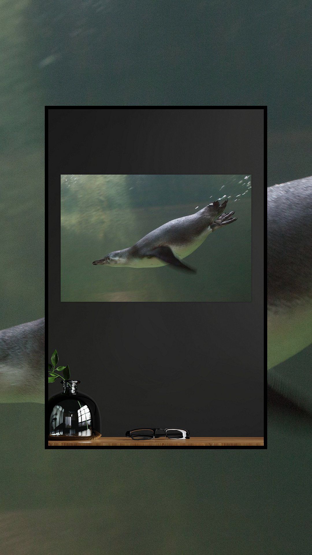 Koop het kunstwerk 'pinguïn close-up is zwemmen in water onder water foto, ik in groene tinten.' van Michael Semenov als schilderij op canvas, aluminium dibond, HD Metal, (ingelijste) fotoprint, behang, en meer. Close Up, Water, Flatscreen Tv, Flat Screen, Canvas, Prints, Products, Gripe Water, Blood Plasma
