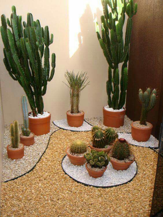 indoor cactus garden beautiful indoor cactus garden love it it gardens pinterest garden indoor cactus garden beautiful indoor cactus garden love it it gardens pinterest garden