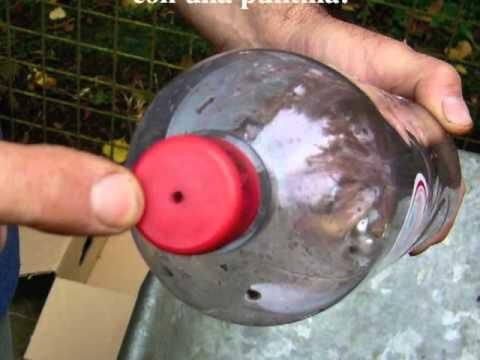 VÃdeo: Huerto vertical con botellas paso a paso | Plantas