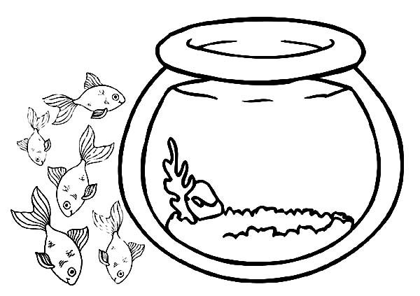 Fish Bowl School Of Fish Outside Fish Bowl Coloring Page Bee Coloring Pages Online Coloring Pages Coloring Pages