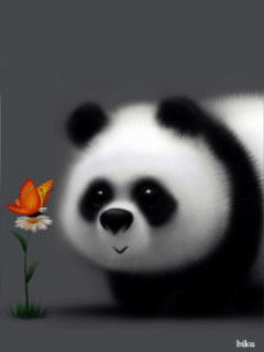 Gif Animaux Drôles Pandas Pinterest Panda Cute Panda And