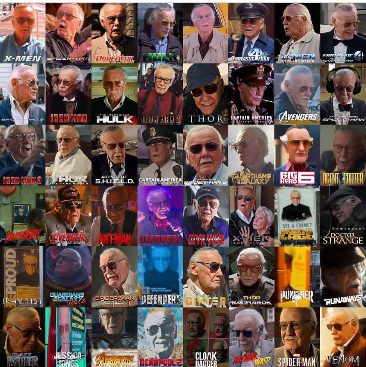 Cameo King! Which one is your favorite? | Marvel jokes, Stan lee cameo