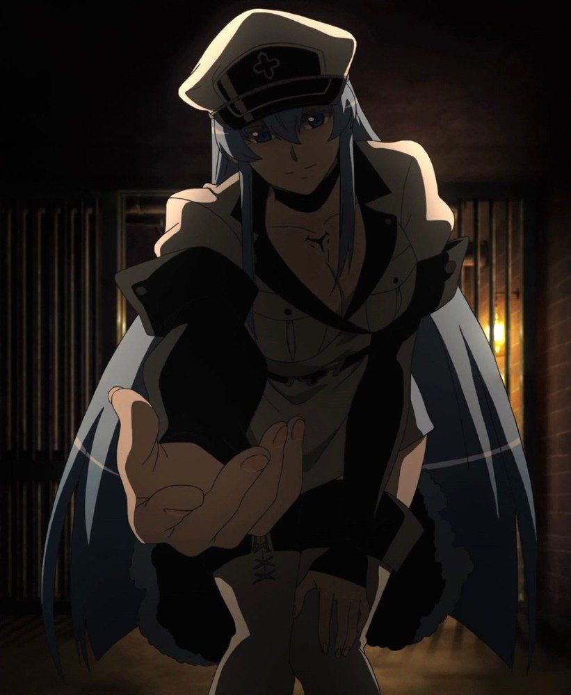 Akame ga Kill | Akame ga, Anime, Akame ga kill
