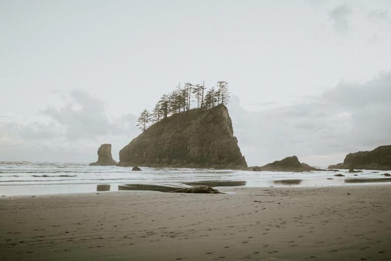 La Push Second Beach Wa State 4 Mike Hike Round And If Have Right La Push Second Beach Wa State 4 Mike Hike Round And If Have Right Permits Can Camp Campingwashingtonstate