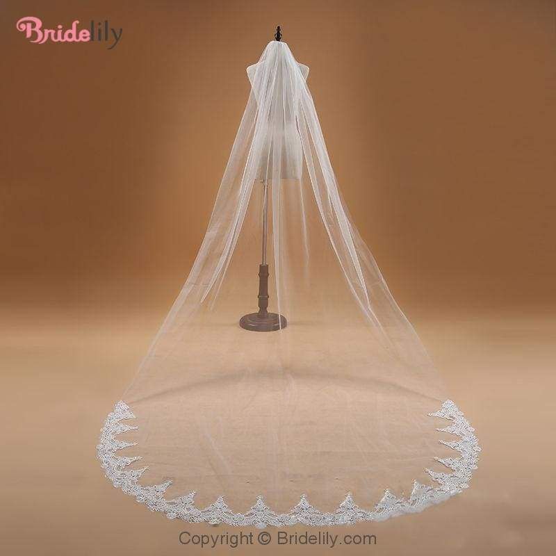 3M Ivory Cathedral Wedding Veil Long With Combe One Layer Lace Edge White Bridal Veil Women Wedding Accessories,Ivory,300cm