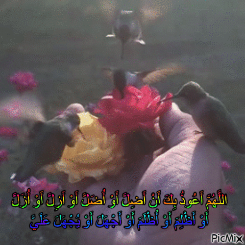 Pin By Mustapha Djihad On أدعية