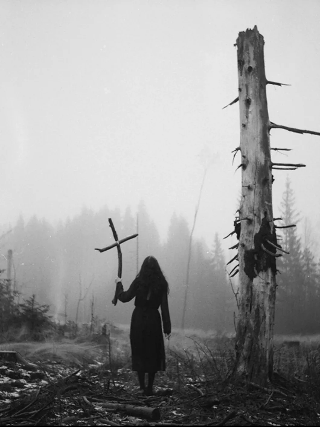 Aesthetic Surrealism Photography Dark Beautiful Aesthetic Surrealism Photography Dark Beautiful