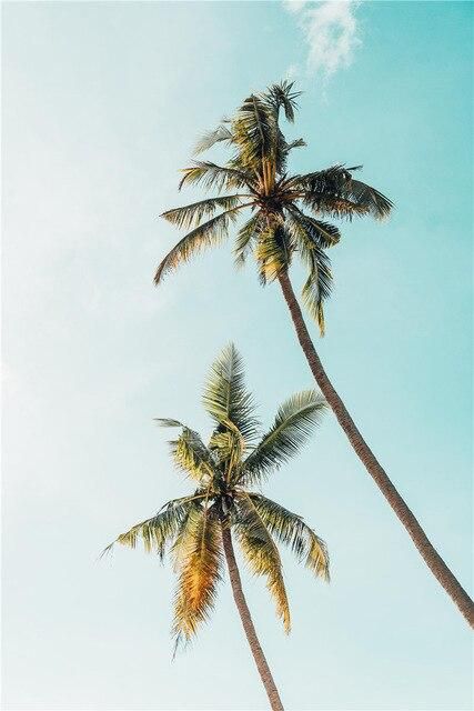 Nodic Fresh Cactus Pineapple Poster Animal Horse Nature Scenery Coconut Tree Picture Canvas Print Wall Art Painting for Bedroom - 20x30cm no frame / D 1 Nodic Fresh Cactus Pineapple Poster Animal Horse Nature Scenery Coconut Tree Picture Canvas Print Wall Art Painting for Bedroom – 20x30cm no frame / D