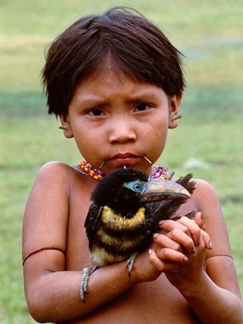 Top 25 Wild Bird Photographs of the Week #5 - Wild Bird Revolution |  Animais crianças, Povos indígenas brasileiros, Crianças