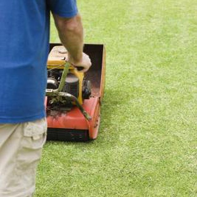 Interlocken Scarifying Rake Dethatching Dethatching Lawn Lawn