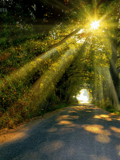 Pin by Soo Heath on Heaven | Nature gif, Country life photography, Landscape