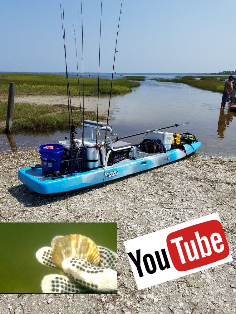 Pin by Dirk Langford on Paddle Camp Fish Fish camp