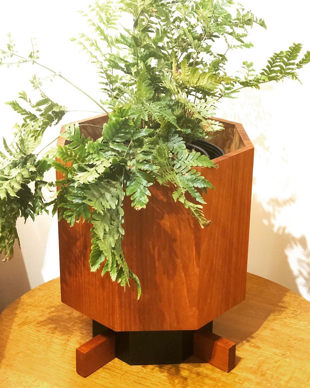 super cool and unusual octagonal teak planter with black vinyl details made in canada circa 1970s 11 5 wide x 13 5 high 295 planters plant stand plants bloem rail planter on super cool and unusual octagonal teak planter with black vinyl details made in canada circa 1970s 11 5 wide x 13 5 high 295 planters plant stand plants pinterest