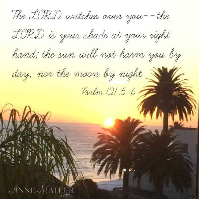 Psalm 121 5 6 NKJV The Lord Is Your Keeper The Lord Is Your Shade psalm-121-5-6-nkjv-the-lord-is-your-keeper-the-lord-is-your-shade