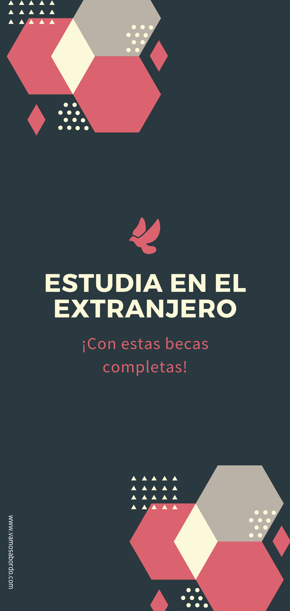 Becas Para Latinoamericanos 2021 Guía Oficial Vamos A Bordo Cartas De Motivacion Carreras Para Estudiar Becas Universitarias