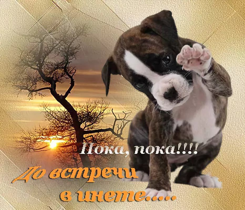 Лесом озером, анимационные картинки до встречи
