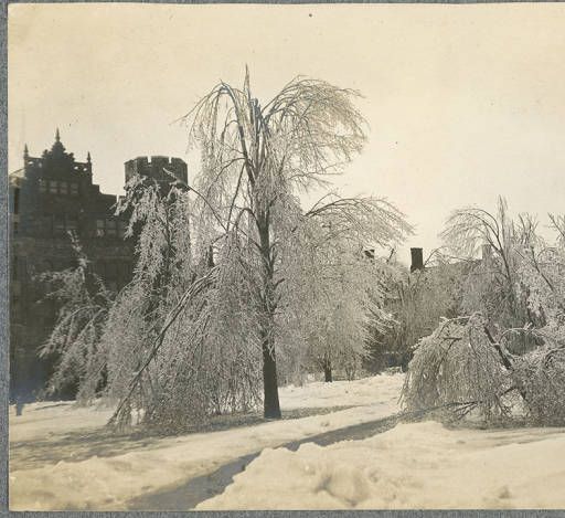 denbigh bryn mawr college address denbigh bryn mawr college address