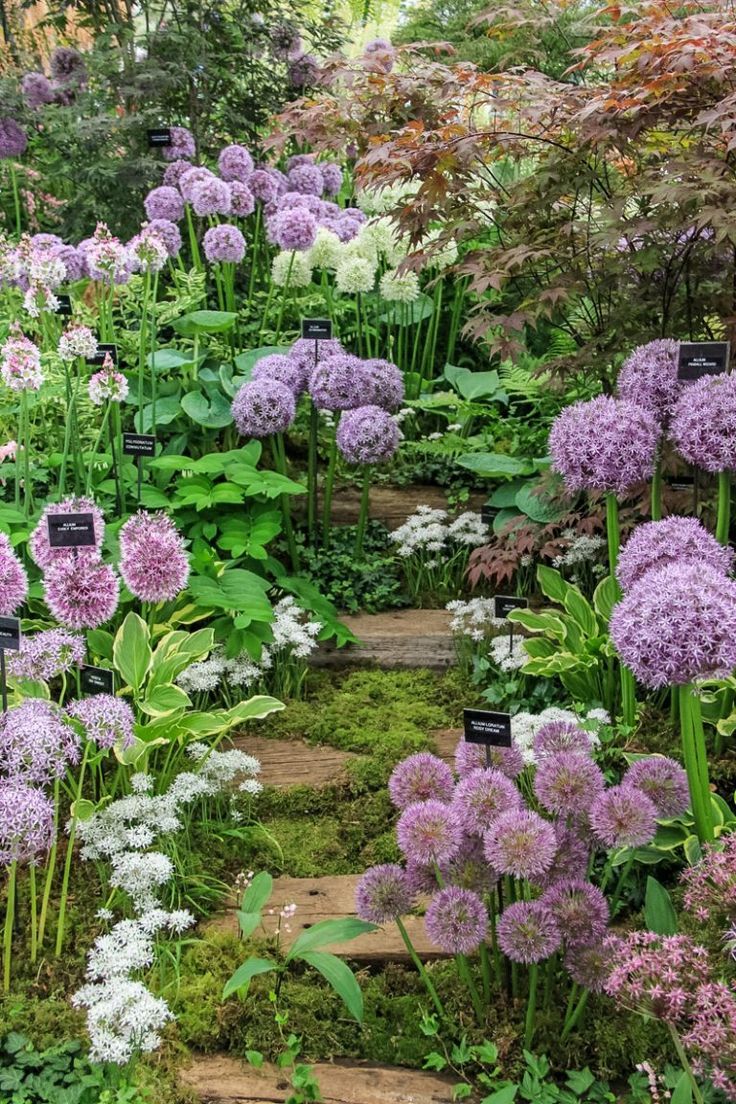 Shade Perennials to Plant With Spring Bulbs