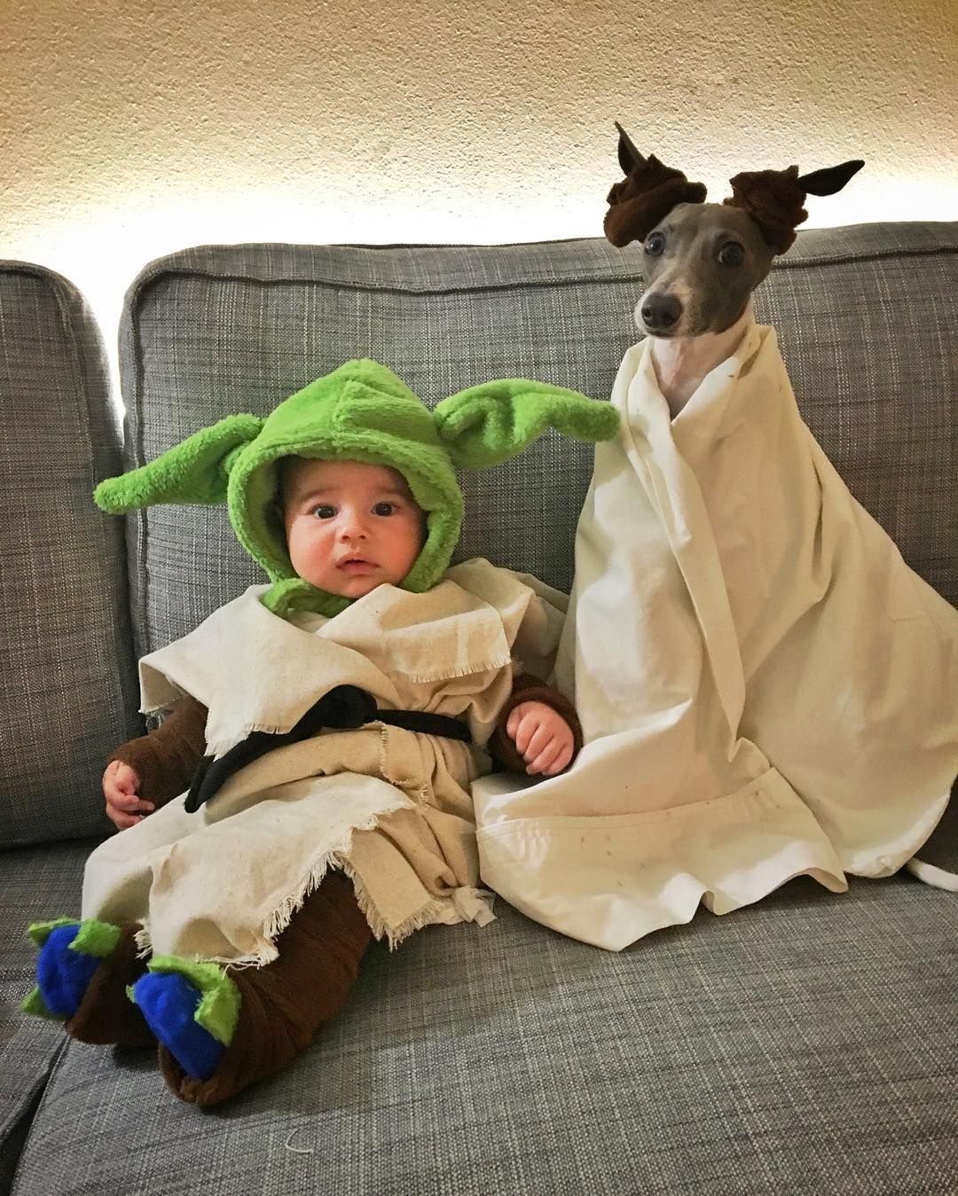 Baby Yoda Costume And Dog Costume Instagram Baby Yoda Costume