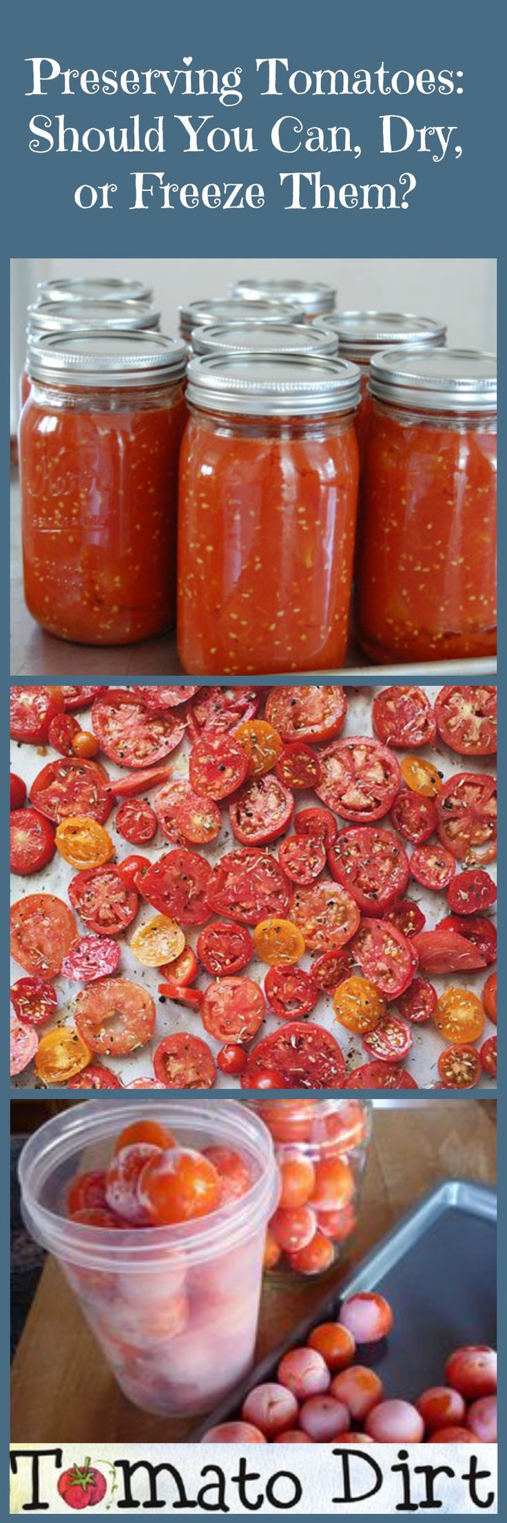 Preserving Tomatoes: should I can, dry, or freeze them? Benefits and drawbacks of each with Tomato Dirt. Make Sun Dried Tomatoes, Freezing Tomatoes, Preserving Tomatoes, Tips For Growing Tomatoes, Canning Tomatoes, Heirloom Tomatoes, How To Can Tomatoes, Preserving Food, Penne