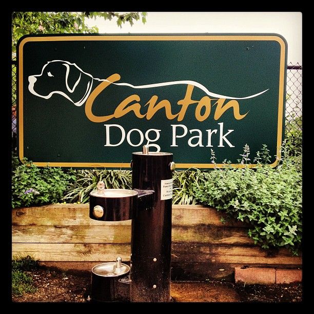 Canton Dog Park Baltimore Md Canton Dog Park Baltimore Md