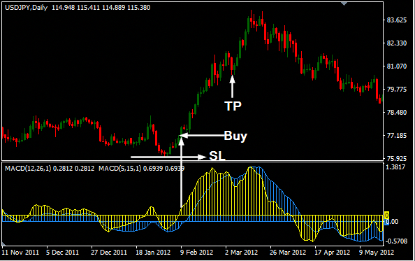 Forex Market For Beginners From A to Z! - FOREX EXPERT forex from a to z