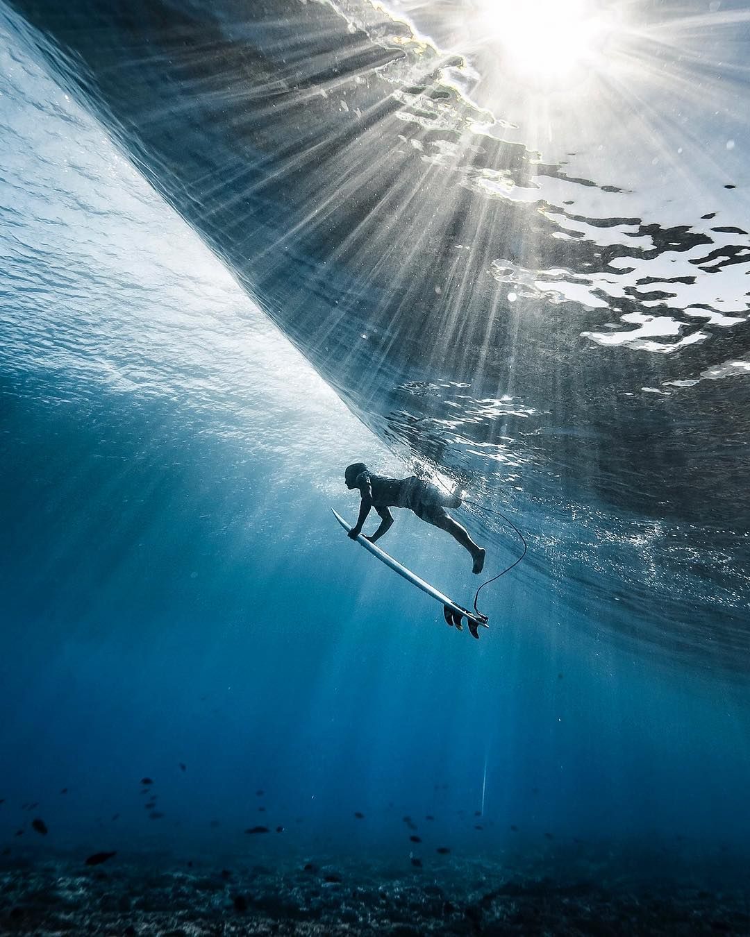 Ben Thouard on Instagram: “Exposition “Le meilleur de la Photographie de Sport” présenté par @galeriejeandeniswalter commence aujourd’hui à Paris. RDV du 7 au 10…”