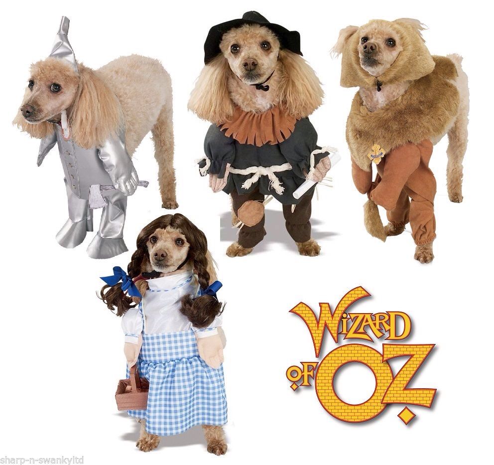 Officially Licensed Wizard Of Oz Pet Costumes Dorothy Cowardly