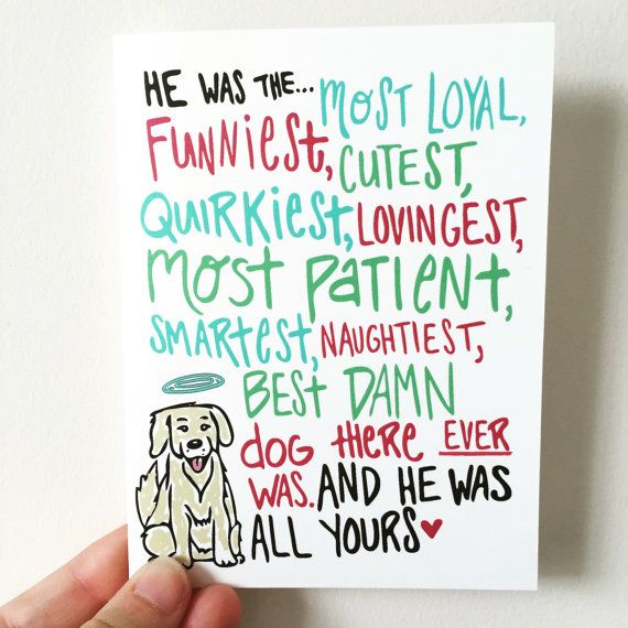 pet loss card lost pet card condolences card grieving card pet sympathy