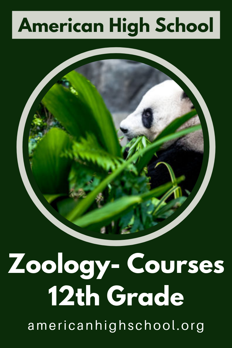 The course gives an introduction to zoology, with particular emphasis The course gives an introduction to zoology, with particular emphasis