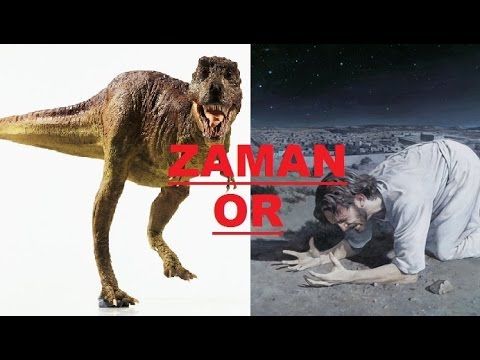 2000+ Gambar Dinosaurus Beserta Keterangannya HD Paling Baru 2000+ Gambar Dinosaurus Beserta Keterangannya HD Paling Baru