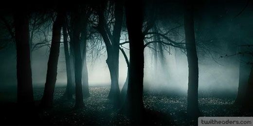 black forest twitter covers banners headers http twitheaders